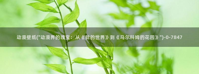 z动漫