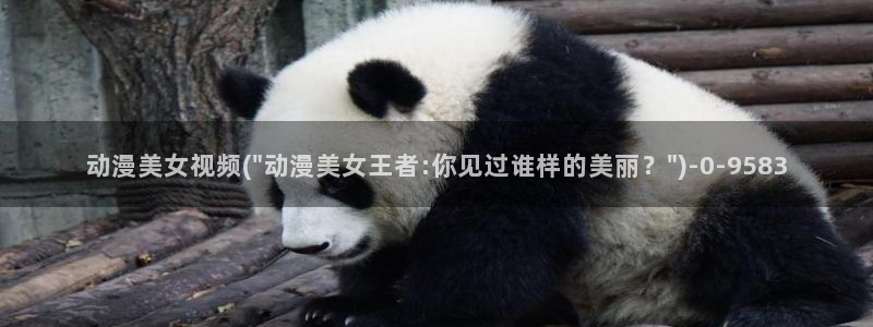 看动漫的网站