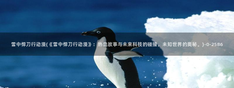 动漫美女视频
