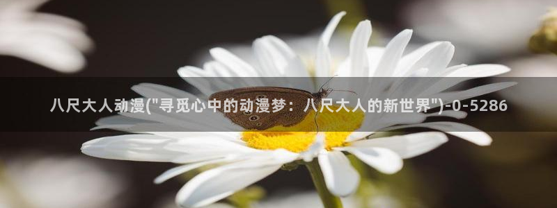 邪恶动漫